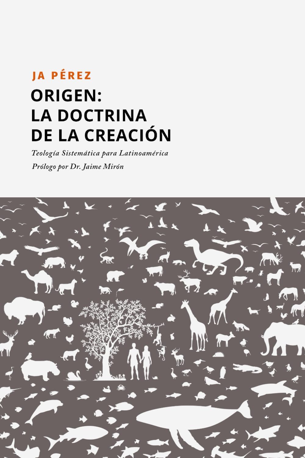 Origen: La doctrina de la Creación